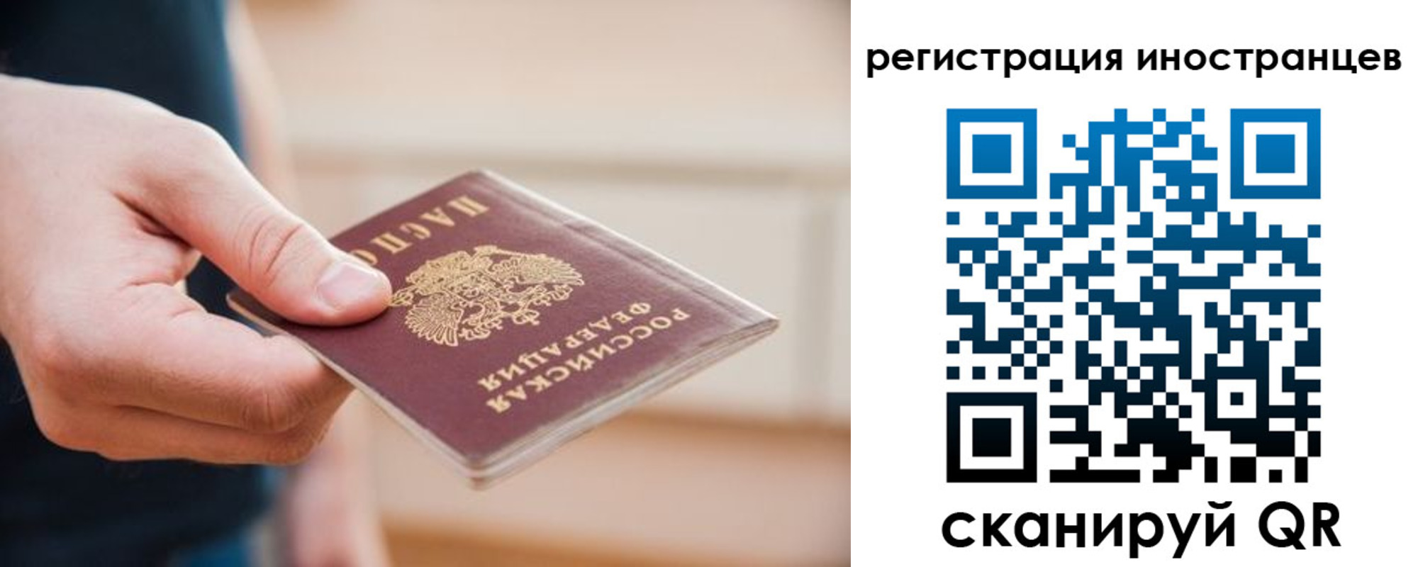 прописка гарантия в Жуковском